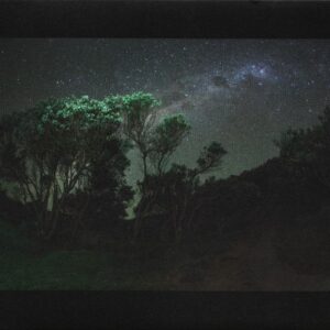 Esben And The Witch – Older Terrors