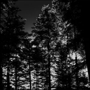 Sacrificia Mortuorum – En Offrande