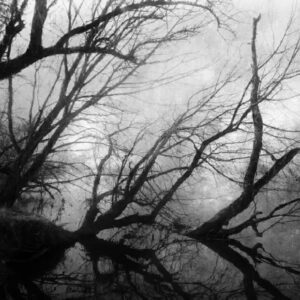 Astrofaes - Knowing no dawn