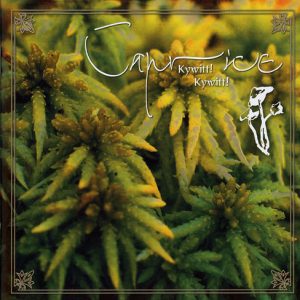 Caprice - Kywitt! Kywitt!