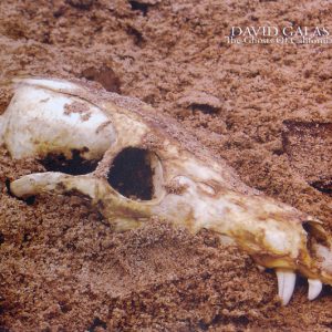 David Galas - The Ghosts Of California
