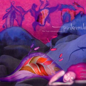 Pinknruby - The Vast Astonishment